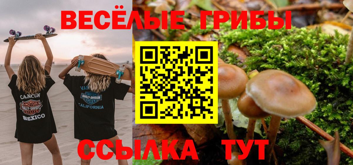 Десногорск  Галлюциногенные грибы Cubensis  даркнет сайт  Вход с VPN 